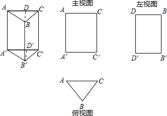 (1)你请在旁边作出它的左视图(2)若ac=2,aa=3,求左视图的-错题